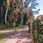 Il Poggio Di San Ruffino