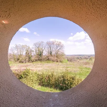 Il Poggio Di San Ruffino * Lari
