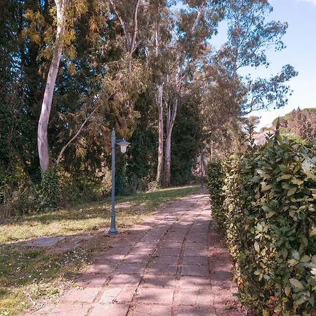 Il Poggio Di San Ruffino